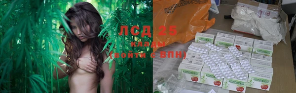 ГАЛЛЮЦИНОГЕННЫЕ ГРИБЫ Алексеевка