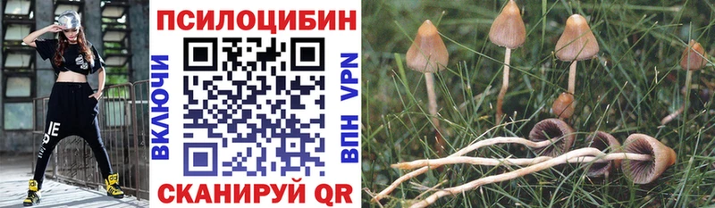Псилоцибиновые грибы прущие грибы  Нягань 
